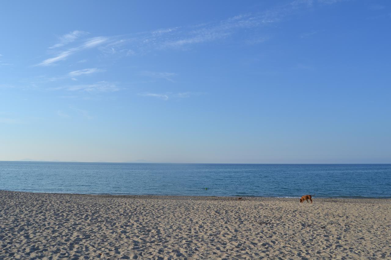 Miramare Struttura Sulla Spiaggia Platamona Exteriér fotografie